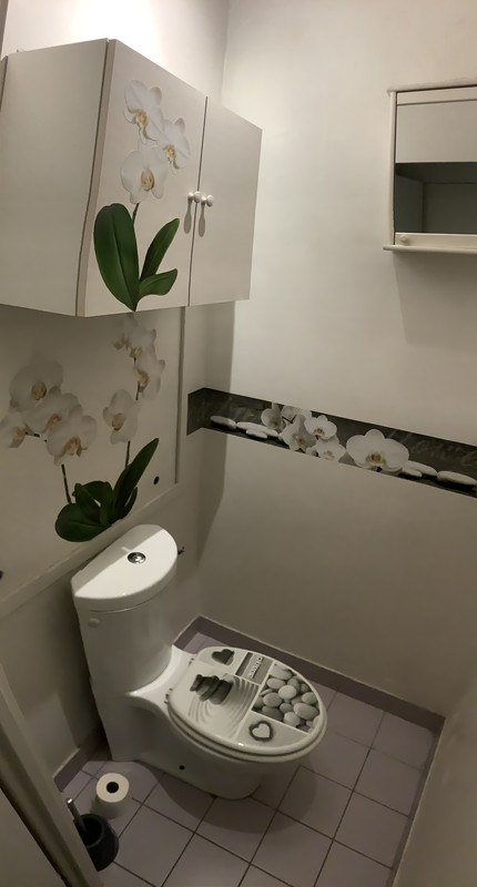 WC vue1
